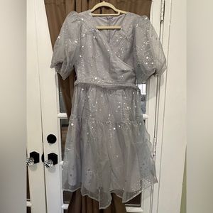 Ivy City Co. sample silver star dress